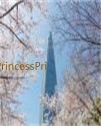 PrincessPrinciple公主准则Part1