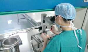 洛阳妇幼试管成功率高吗？洛阳妇幼保健医院试管成功率