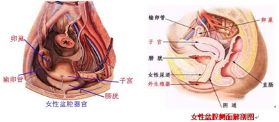 孩子喉咙发炎引起发烧吃什么药-喉咙发炎可以吃小儿金丹片吗