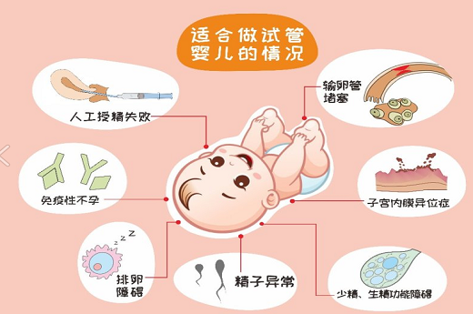 娄底试管做了4次没成功？试管四次不着床什么原因！